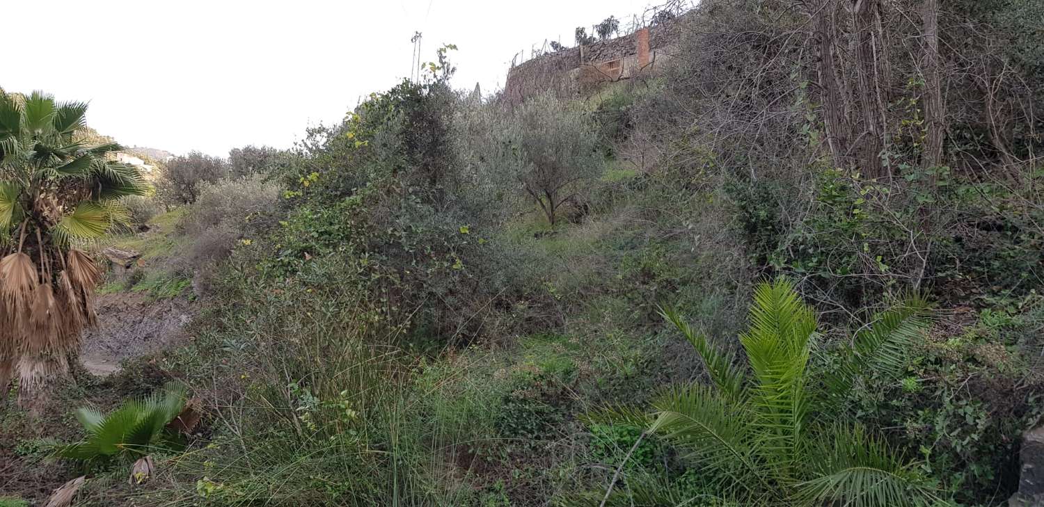 Plot for sale in Torrox Pueblo