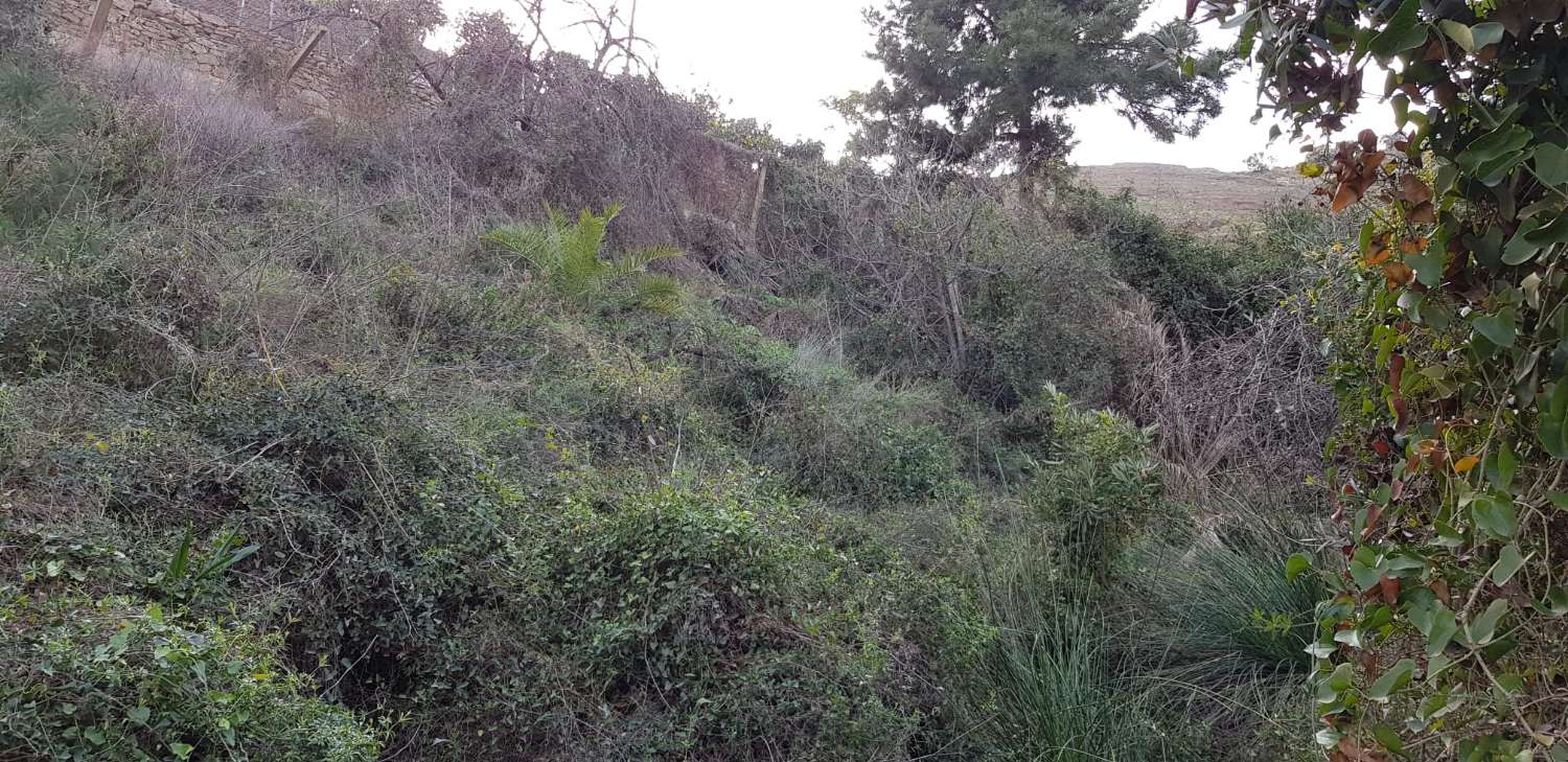 Plot for sale in Torrox Pueblo