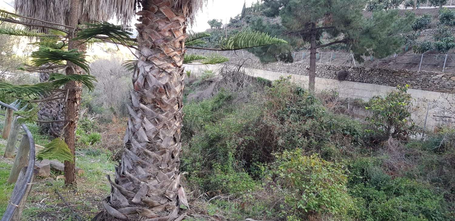 Plot for sale in Torrox Pueblo