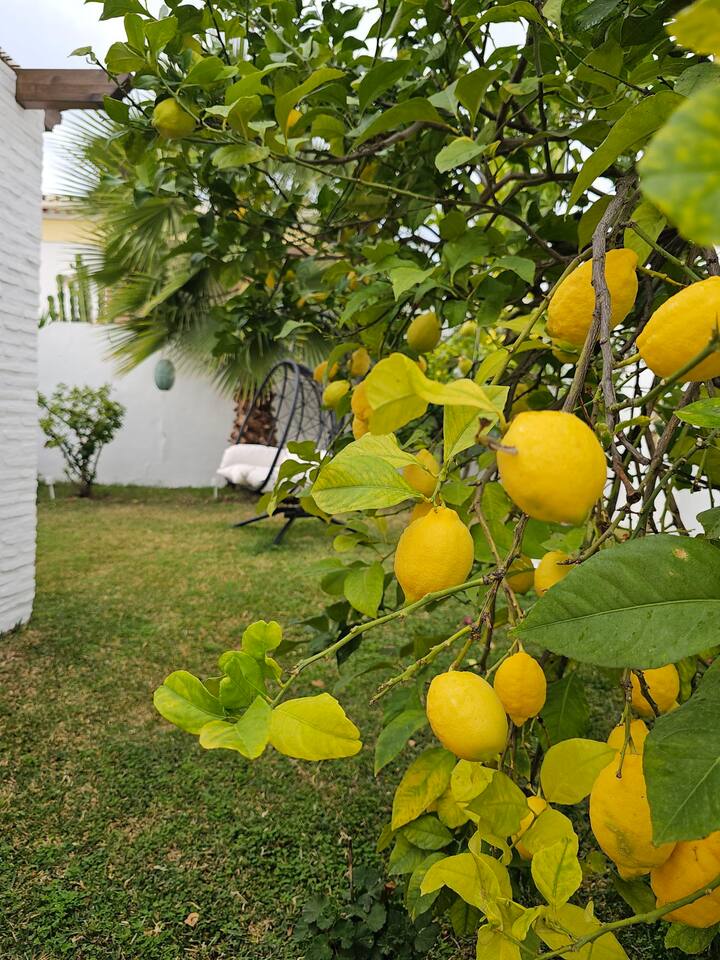 Haus für ferien in Capistrano (Nerja)