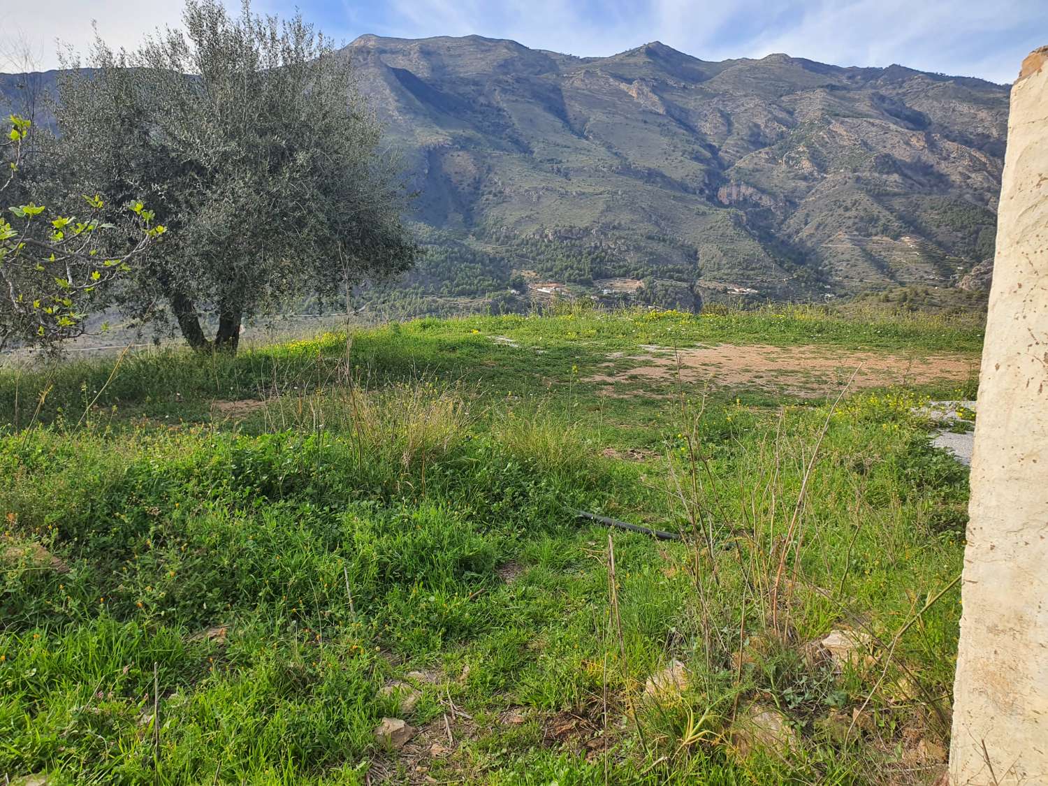 Plot for sale in Nerja